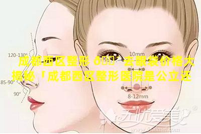 成都西区整形 🌴 去眼袋价格大揭秘「成都西区整形医院是公立还是私立」